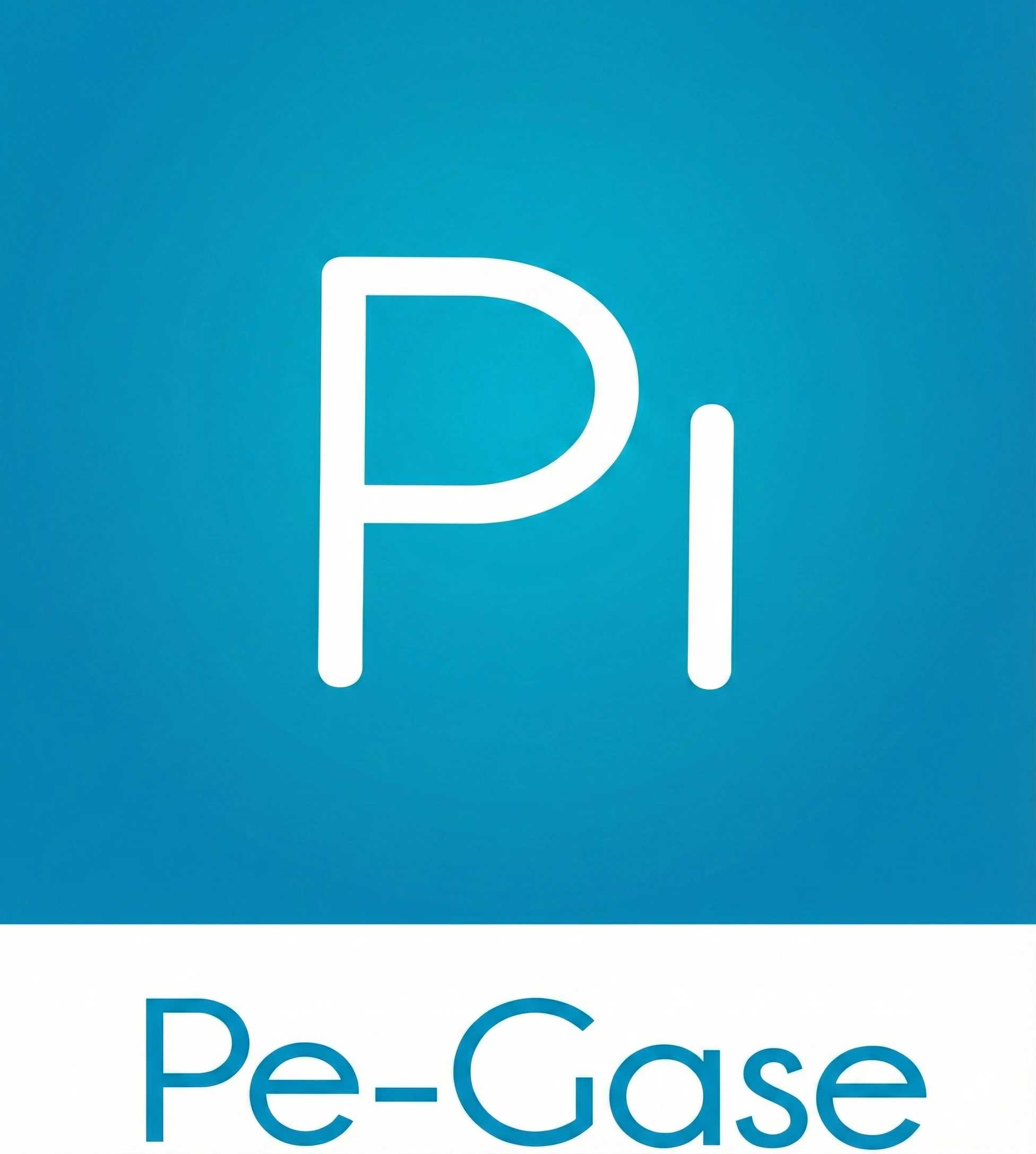 Logo PE-GASE
